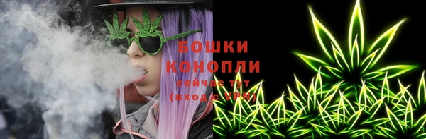 PSILOCYBIN Нефтегорск