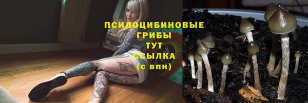 PSILOCYBIN Нефтегорск