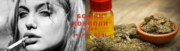 PSILOCYBIN Нефтегорск