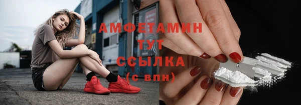 шишки Нефтекумск
