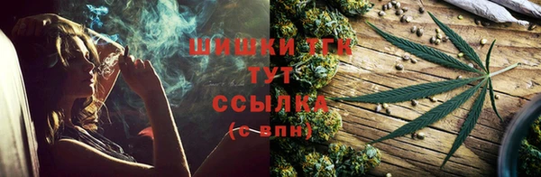 PSILOCYBIN Нефтегорск