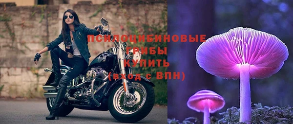 шишки Нефтекумск