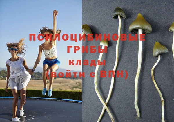 каннабис Нея