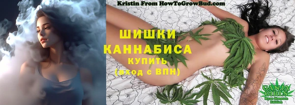 PSILOCYBIN Нефтегорск